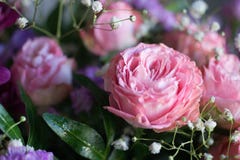 Yellow rose in beautiful bouquet. spring flowers on a green back stock images Yellow rose in beautiful bouquet. spring flowers on a green back stock images