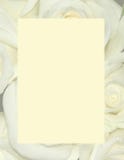 Yellow Roses - Background Stationery