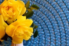 Closeup Yellow Floribunda Roses on Blue mat royalty free stock photography Closeup Yellow Floribunda Roses on Blue mat royalty free stock photography