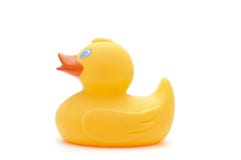 Yellow toy duck on white background