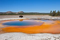 Yellowstone Royalty Free Stock Photo Yellowstone Royalty Free Stock Photo