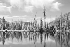 Yellowstone Reflections In IR Royalty Free Stock Photography Yellowstone Reflections In IR Royalty Free Stock Photography