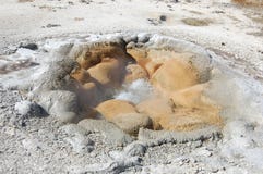 Yellowstone Shell Spring Geyser Stock Images