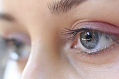 Yeux de jeune femme Yeux de jeune femme