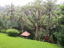 Yoga hut in Balinese hotel garden royalty free stock photos Yoga hut in Balinese hotel garden royalty free stock photos