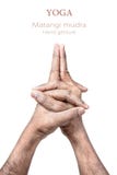 Yoga Matangi mudra Stock Image