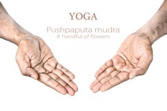 Yoga Pushpaputa mudra Stock Photos