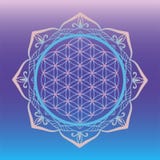Yoga studio logo, Flower of Life framed with round mandala, sacred geometry symbols and elements for alchemy, spirituality, religi royalty free illustration Yoga studio logo, Flower of Life framed with round mandala, sacred geometry symbols and elements for alchemy, spirituality, religi royalty free illustration