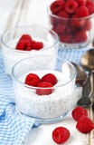 Yoghurt met chiazaden en verse frambozen royalty-vrije stock afbeeldingen Yoghurt met chiazaden en verse frambozen royalty-vrije stock afbeeldingen