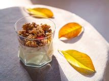 Yogur con el granola, las bayas secadas en vidrio y las hojas del amarillo Fondo gris con el mantel rústico del estilo Espacio de imágenes de archivo libres de regalías Yogur con el granola, las bayas secadas en vidrio y las hojas del amarillo Fondo gris con el mantel rústico del estilo Espacio de imágenes de archivo libres de regalías