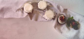 Yogurt casalingo con le fragole fresche Gli ingredienti per una prima colazione sana sono met? delle fragole, delle noci e del yo immagine stock libera da diritti Yogurt casalingo con le fragole fresche Gli ingredienti per una prima colazione sana sono met? delle fragole, delle noci e del yo immagine stock libera da diritti