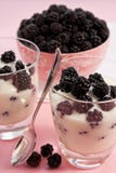 Yogurt With Blackberries Stock Photography