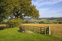 Yorkshire wolds viewing seat Royalty Free Stock Photos Yorkshire wolds viewing seat Royalty Free Stock Photos