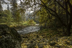 Yosemite Valley Fall Colors Along Merced River royalty free stock photography Yosemite Valley Fall Colors Along Merced River royalty free stock photography