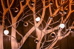 Installation ` three lamps on a tree` royalty free stock photos Installation ` three lamps on a tree` royalty free stock photos