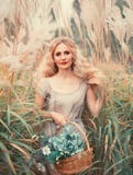 Young attractive girl with blond curly hair in light gray old dress with basket of medicinal herbs in hand, pretty royalty free stock images Young attractive girl with blond curly hair in light gray old dress with basket of medicinal herbs in hand, pretty royalty free stock images