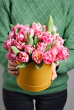 Young beautiful woman holding a bouquet of tulips in a gift box. pink colors in one box or bouquet. Present on March 8 Stock Images Young beautiful woman holding a bouquet of tulips in a gift box. pink colors in one box or bouquet. Present on March 8 Stock Images