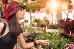 Young beautiful woman smelling flowers Stock Image Young beautiful woman smelling flowers Stock Image