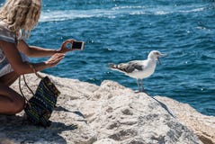 A young blonde woman tries to make photo of a screaming seagull standing on a stone pier near the sea. Stock Photo A young blonde woman tries to make photo of a screaming seagull standing on a stone pier near the sea. Stock Photo
