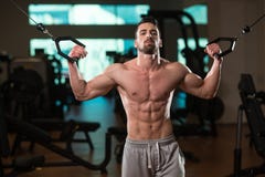 Young Bodybuilder Exercising Biceps On Cable Machine stock photography Young Bodybuilder Exercising Biceps On Cable Machine stock photography