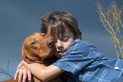Young Boy And A Vizsla Dog Stock Photography