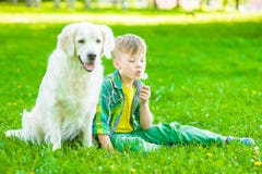 Young boy with golden retriever dog sitting on green grass and blowing dandelion royalty free stock photo Young boy with golden retriever dog sitting on green grass and blowing dandelion royalty free stock photo