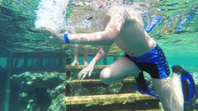 Young boy with mask and tube first time snorkeling in red sea near coral reef stock footage Young boy with mask and tube first time snorkeling in red sea near coral reef stock footage