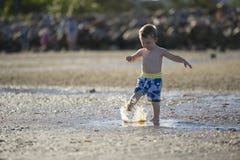 Young boy playing in shallow water royalty free stock image Young boy playing in shallow water royalty free stock image