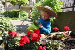 Young boy watering the flowers in the garden Stock Image Young boy watering the flowers in the garden Stock Image