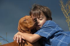Young Boy With A Dog Stock Photography