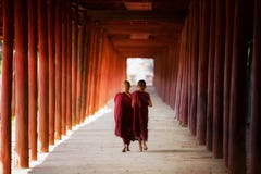 Young Buddhist monk walking and reading royalty free stock image Young Buddhist monk walking and reading royalty free stock image