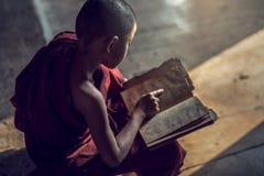 Young Buddhist Novice Monk Reading And Study Royalty Free Stock Photo