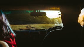 Young Couple Traveling In Car, Rear View. Road Trip Adventure Concept Stock Photography Young Couple Traveling In Car, Rear View. Road Trip Adventure Concept Stock Photography