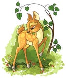 Young deer on the summer glade stock illustration Young deer on the summer glade stock illustration