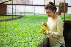 Young Farmer Girl Watering Green Seedlings In Greenhouse Royalty Free Stock Photos Young Farmer Girl Watering Green Seedlings In Greenhouse Royalty Free Stock Photos