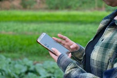 Young farmer observing some charts vegetable filed in mobile phone, Eco organic smart farm 4.0 technology concept, Agronomist in A stock photography Young farmer observing some charts vegetable filed in mobile phone, Eco organic smart farm 4.0 technology concept, Agronomist in A stock photography