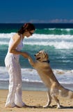 Young female dancing with dog royalty free stock photos Young female dancing with dog royalty free stock photos