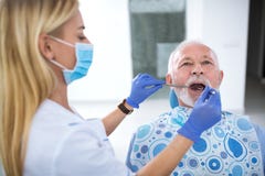 A young female dentist controls the health of the tooth royalty free stock images A young female dentist controls the health of the tooth royalty free stock images