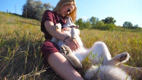 Young girl with blonde hair sitting on grass at field and caress her siberian husky. Beautiful woman in sunglasses stock video Young girl with blonde hair sitting on grass at field and caress her siberian husky. Beautiful woman in sunglasses stock video
