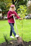Young Girl Planting Tree In The Garden Royalty Free Stock Photo