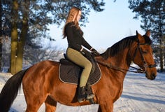 Young Girl With Horse On Winter Forest Road Stock Images