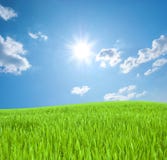 Young Green Grass And The Sky With The Sun Royalty Free Stock Photos