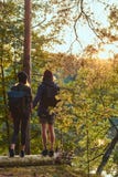 Young hipster couple holding hands standing on a trunk in a beautiful forest at sunset. Travel, tourism, and hike stock images Young hipster couple holding hands standing on a trunk in a beautiful forest at sunset. Travel, tourism, and hike stock images