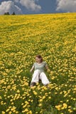 Young Lady In The Meadow Full Of Flowers Stock Images