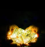 Young man holding hearts shaped strings lights in hand royalty free stock photography Young man holding hearts shaped strings lights in hand royalty free stock photography