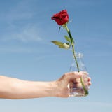 Download Young Man With Rose Flower And Vine Bottle Stock Photo 16351882 Megapixl Yellowimages Mockups