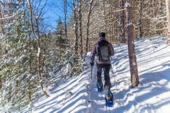 Young man snowshoeing in winter, in the Quebec eastern township stock photography Young man snowshoeing in winter, in the Quebec eastern township stock photography