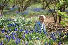 Young mother walking with a baby boy son on a muscari field in Spring - Sunny day - Grape hyacinth royalty free stock images Young mother walking with a baby boy son on a muscari field in Spring - Sunny day - Grape hyacinth royalty free stock images