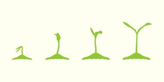 Young plant life process, tree growing agriculture icons. stock illustration Young plant life process, tree growing agriculture icons. stock illustration
