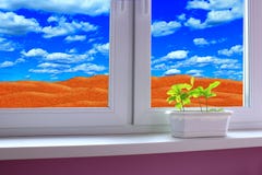 Young Plants In The Flower Pot On The Window-sill And View To The Desert And Cloudy Sky Royalty Free Stock Photos Young Plants In The Flower Pot On The Window-sill And View To The Desert And Cloudy Sky Royalty Free Stock Photos